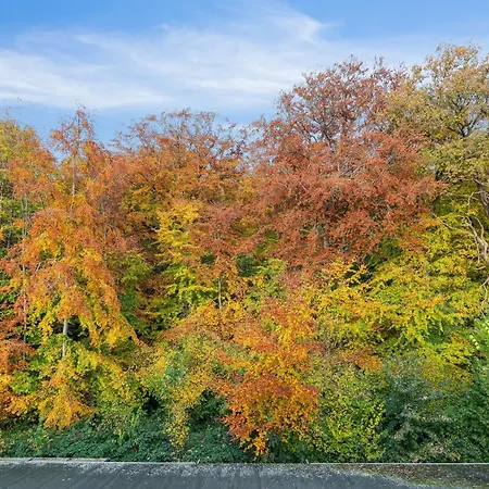 Hc Andersen * Odense